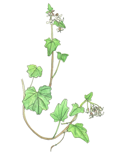 yTrziAuiȁj 0193m.gif b-32