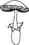 ڂA΂Ȃ