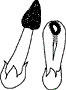 ̑܂Lяo