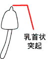 ˋN